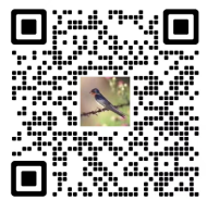 img44.png