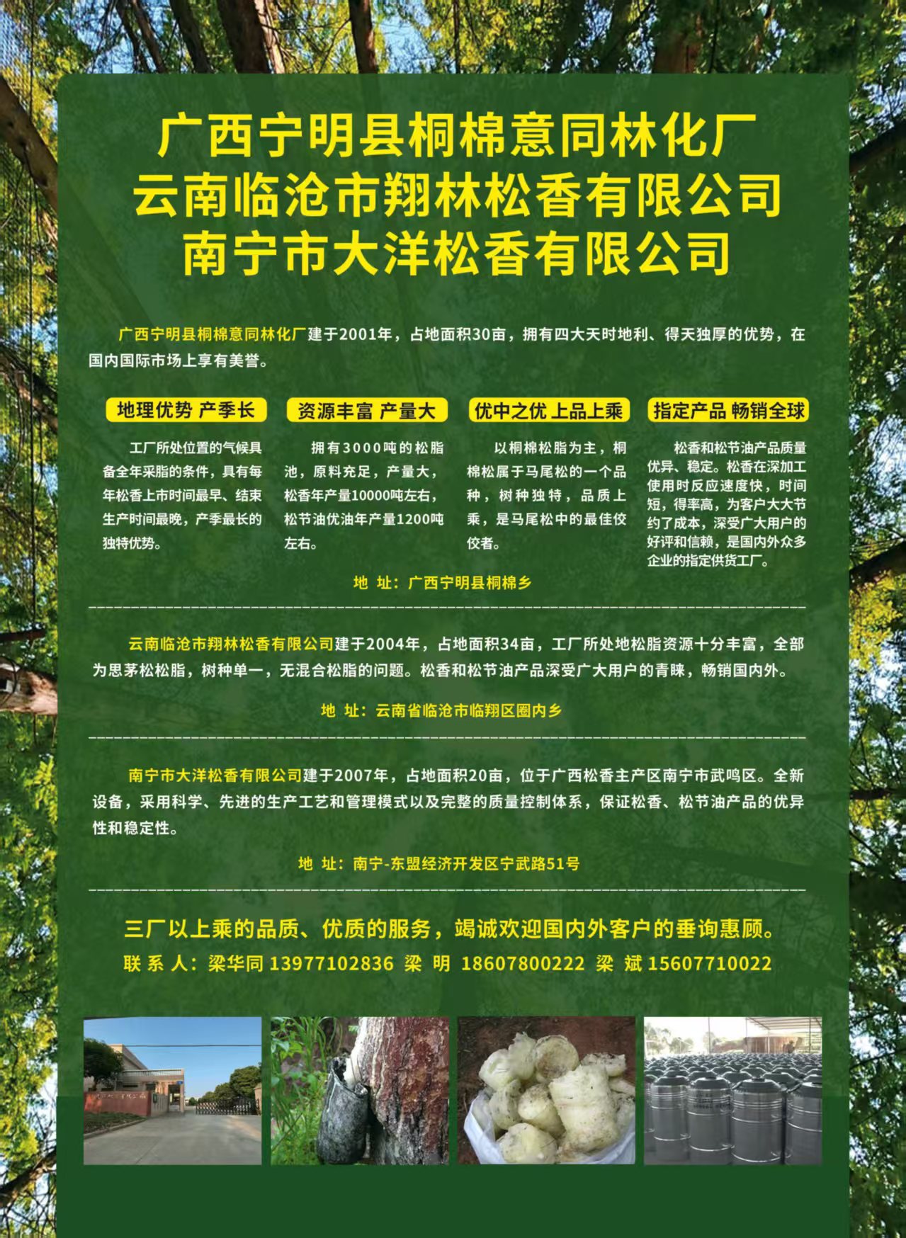 桐棉.jpg