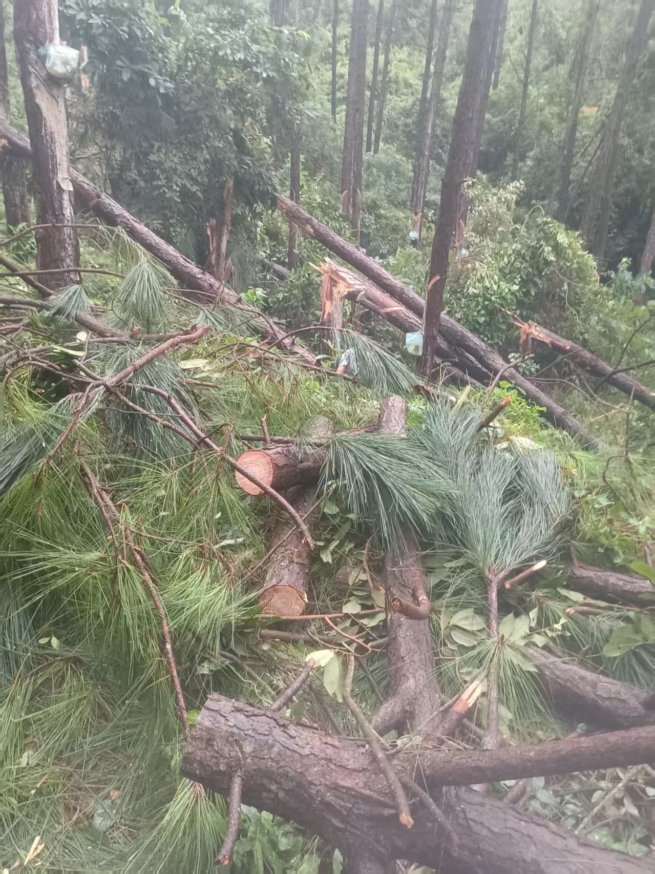 /ueditor/image/20250926/1758863282600062/微信图片_20250926125416_21_8.jpg 微信图片_20250926125416_21_8.jpg